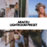 Araceli Lightroom Preset