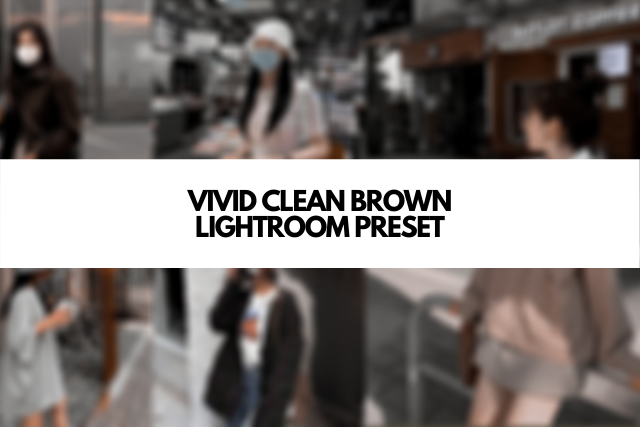 CLEAN VIVID BROWN LIGHTROOM PRESET