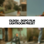 OLDISH ✨ DISPO FILM LIGHTROOM PRESET